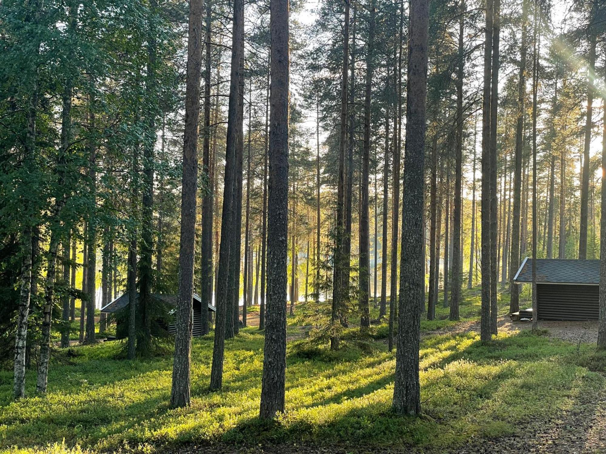 Laahtanen Camping Ristijarvi Exterior photo